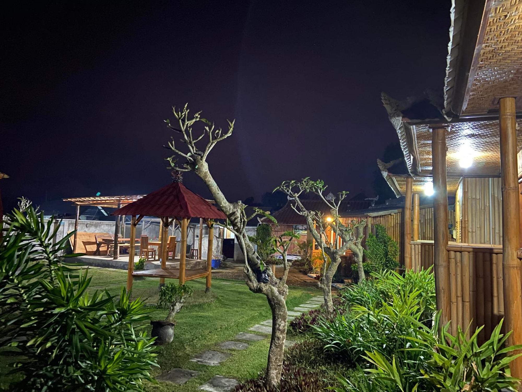 D'Yoga Bamboo Cabin Kintamani エクステリア 写真